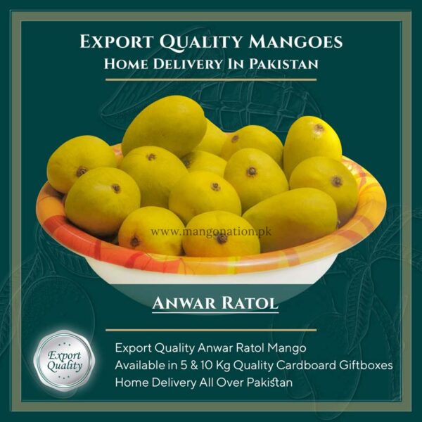 anwar ratol mango buy online pakistani mangoes