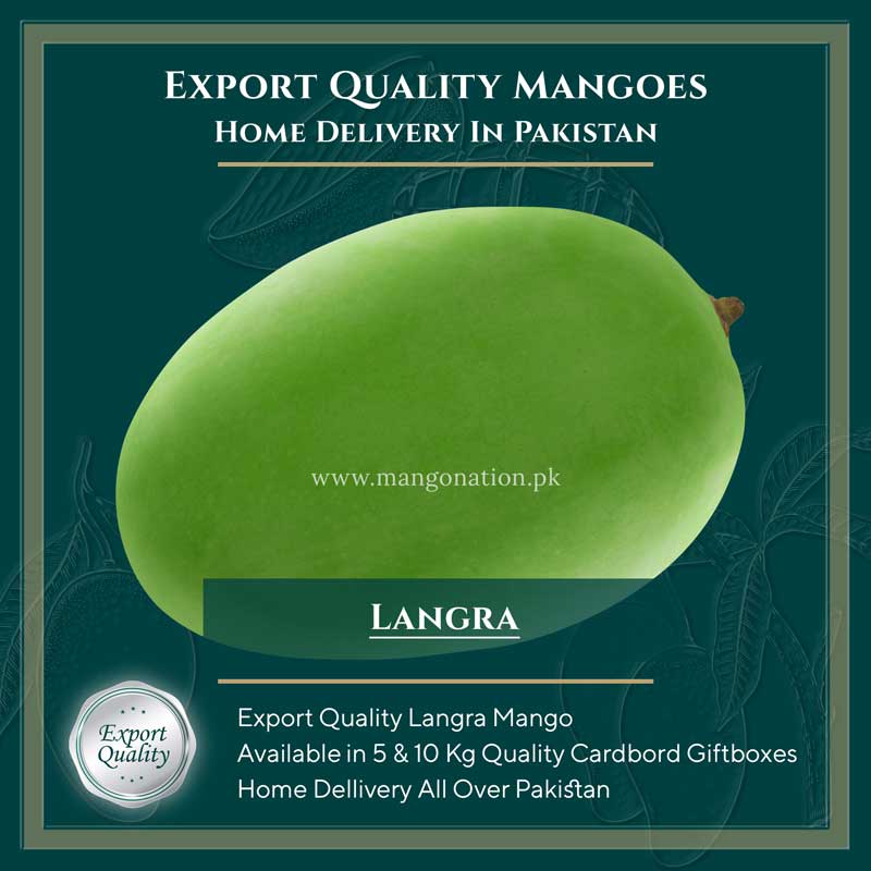 Langra Mango Pakistan