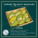 Langra Mango Pakistan