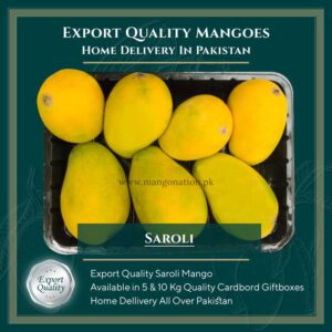 Saroli mango pakistan