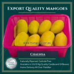 chaunsa mango pakistan