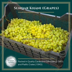 sundar khani grapes